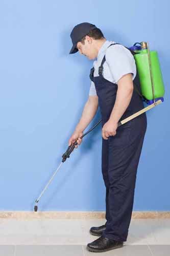 A contractor sprays a house for pests